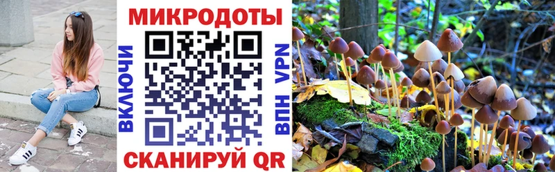Галлюциногенные грибы GOLDEN TEACHER  как найти закладки  Тотьма 