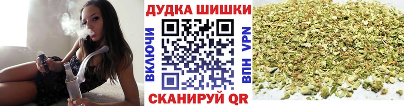 Каннабис сатива блэк спрут зеркало Тотьма сколько стоит